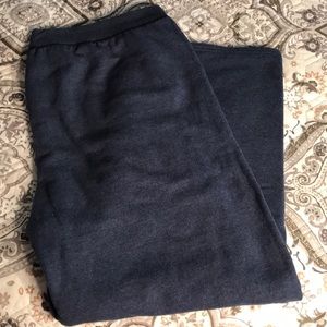 Hanes Navy sweatpants
